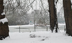 snow in the park